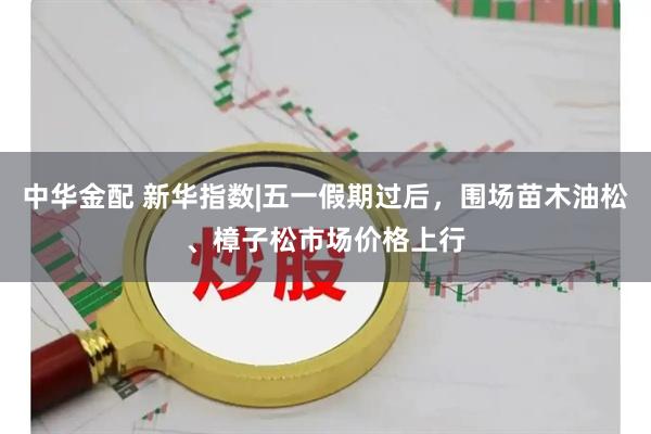 中华金配 新华指数|五一假期过后，围场苗木油松、樟子松市场价格上行