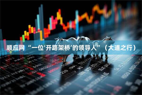 顺应网 “一位‘开路架桥’的领导人”（大道之行）