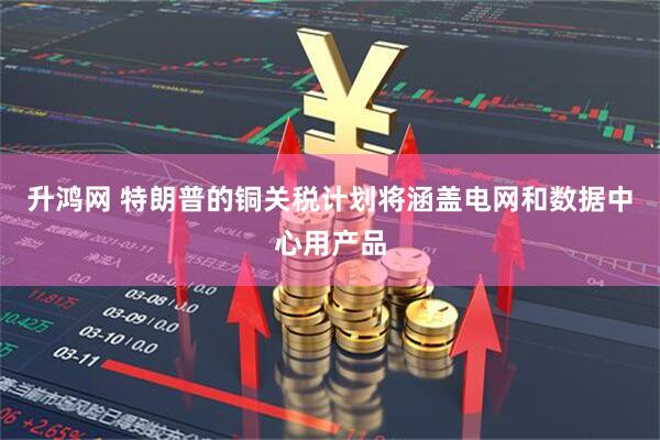 升鸿网 特朗普的铜关税计划将涵盖电网和数据中心用产品