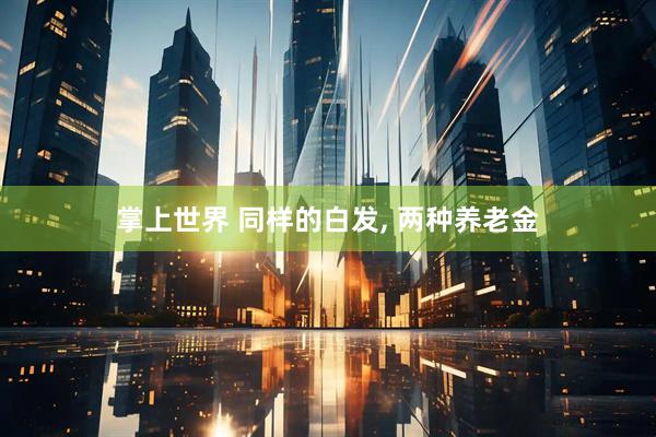 掌上世界 同样的白发, 两种养老金