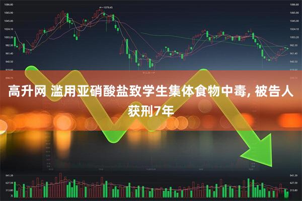 高升网 滥用亚硝酸盐致学生集体食物中毒, 被告人获刑7年